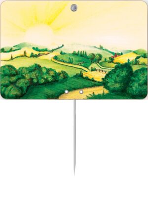 Lot de 10 Etiquettes  7×10.5cm Carte d’Or neutre.sans roulettes.PI