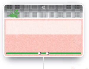 Paquet de 10 Etiquettes 10.5x7cm Tendance neutre. sans …