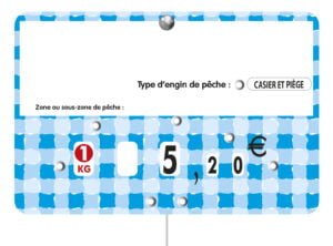 Paquet de 10 Etiquettes 12x8cm Marijo Bleue neutre.roul…